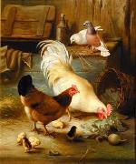 unknow artist Cocks 139 china oil painting reproduction
